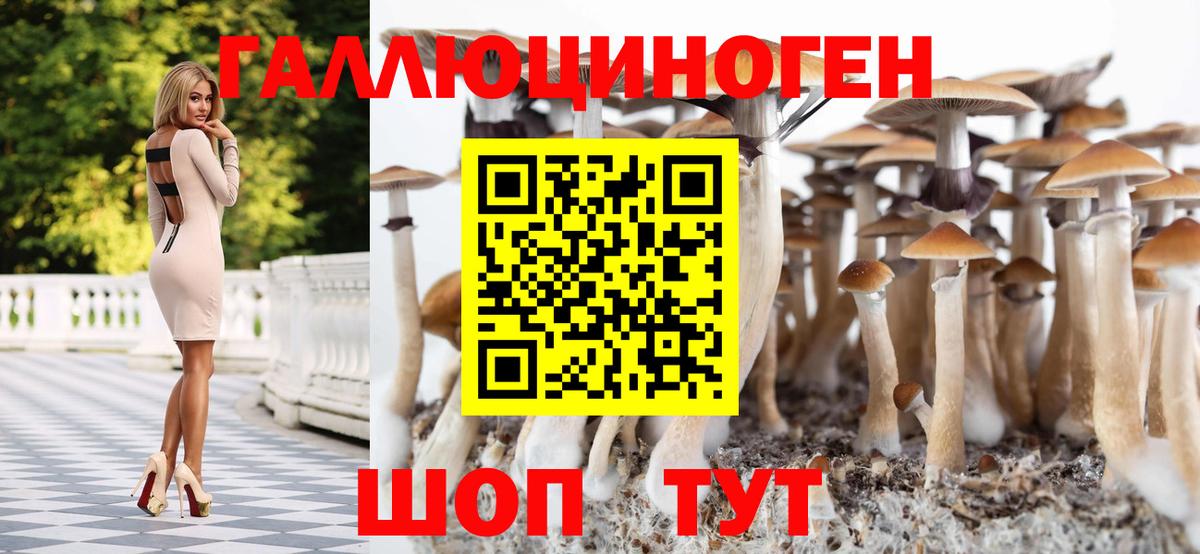 Галлюциногенные грибы мухоморы  Вход с VPN  Выкса 